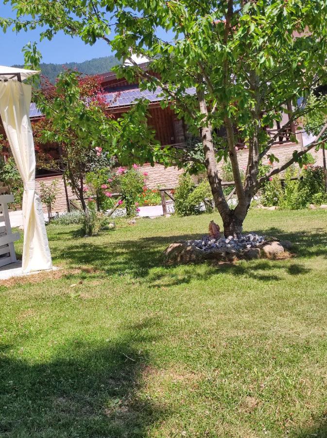 Guest House Caracas Лоріка Екстер'єр фото