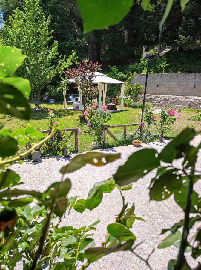 Guest House Caracas Лоріка Екстер'єр фото