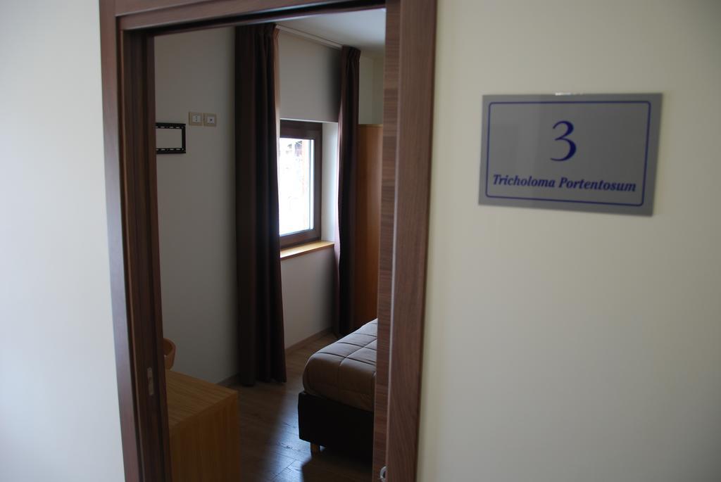 Guest House Caracas Лоріка Екстер'єр фото
