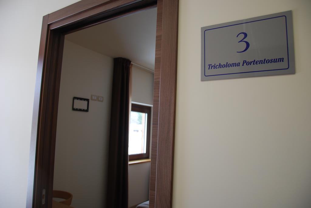 Guest House Caracas Лоріка Екстер'єр фото