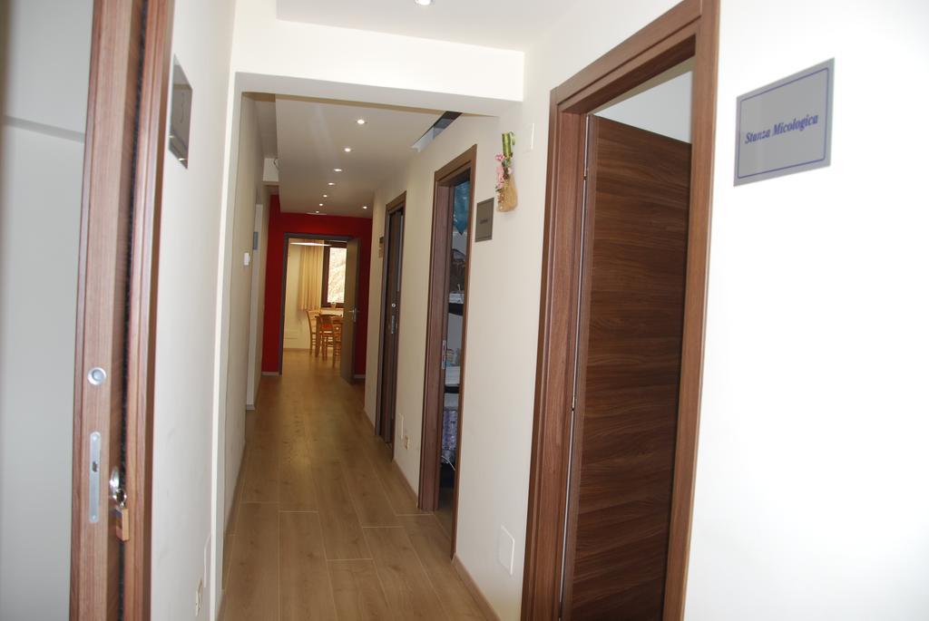 Guest House Caracas Лоріка Екстер'єр фото